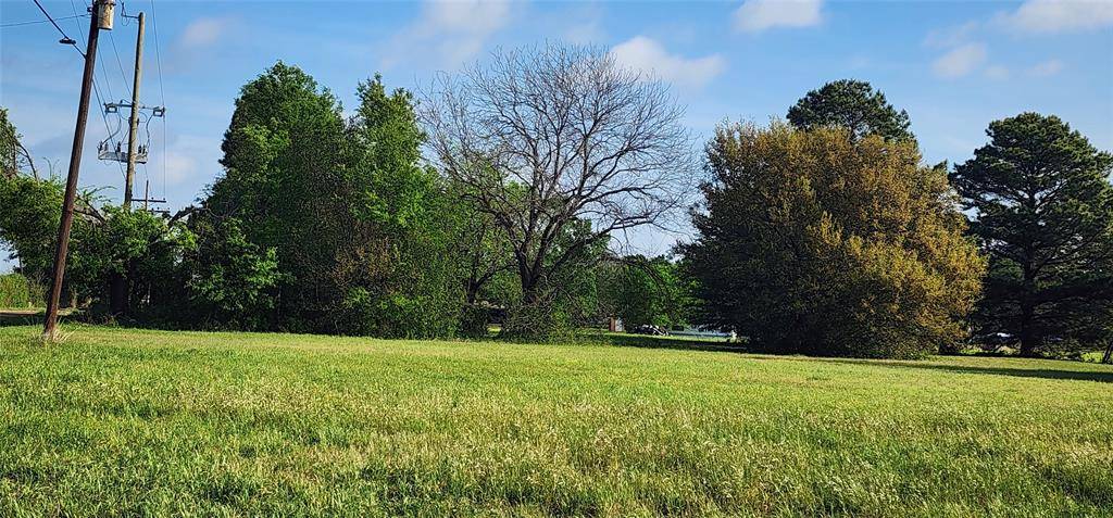 TBD Buddy Ruth Road, Trinidad, TX 75163