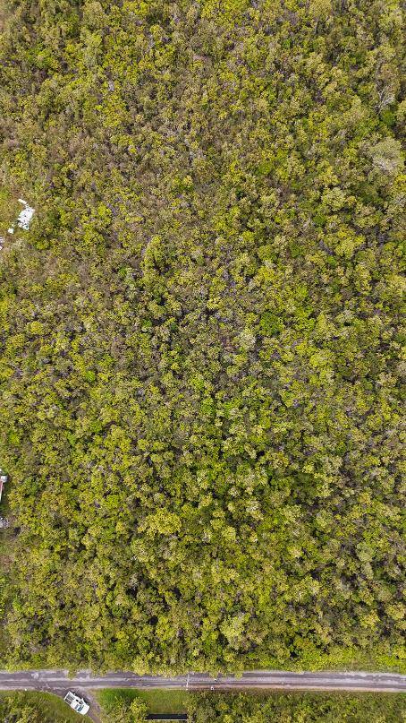 MAILENANI RD, Volcano, HI 96785