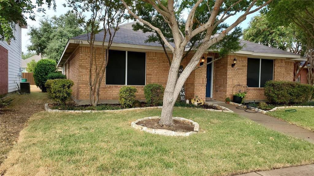 3808 Aloe Drive, Mckinney, TX 75070