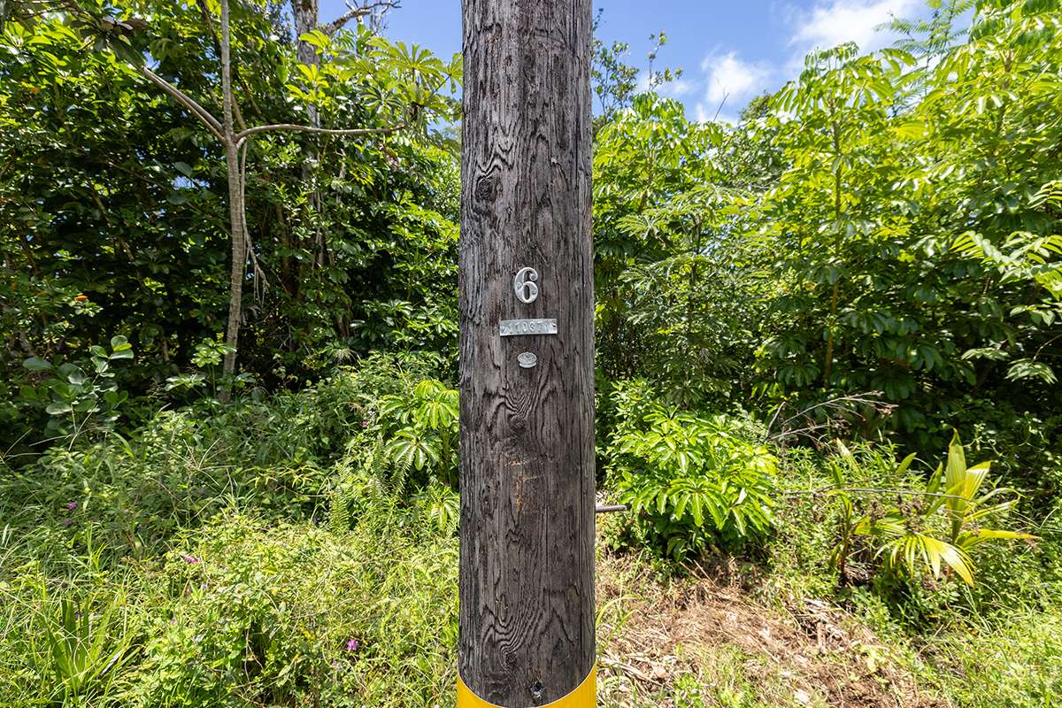 KUMU ST, Pahoa, HI 96778