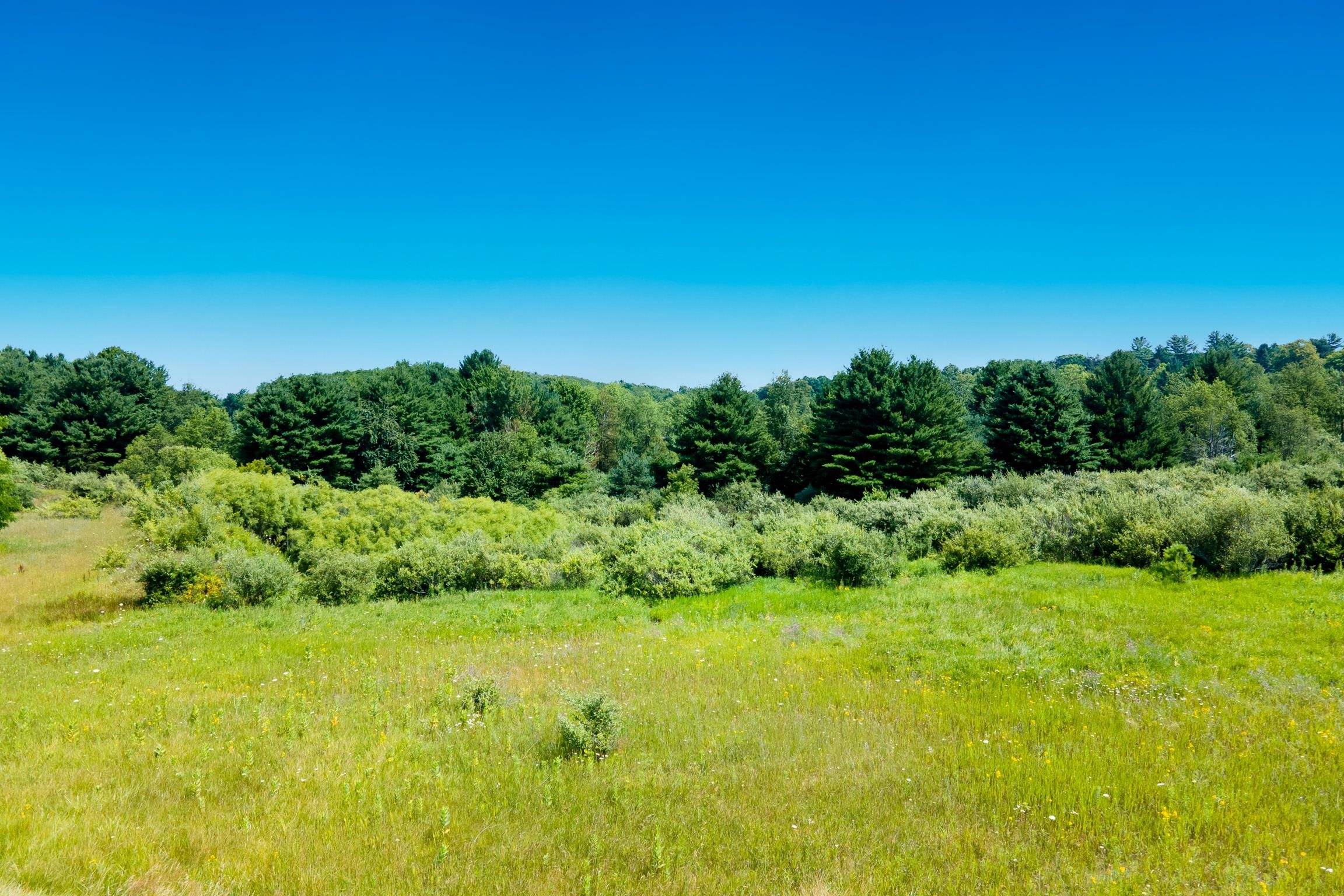 000 South ST, Benzonia Twp, MI 49616