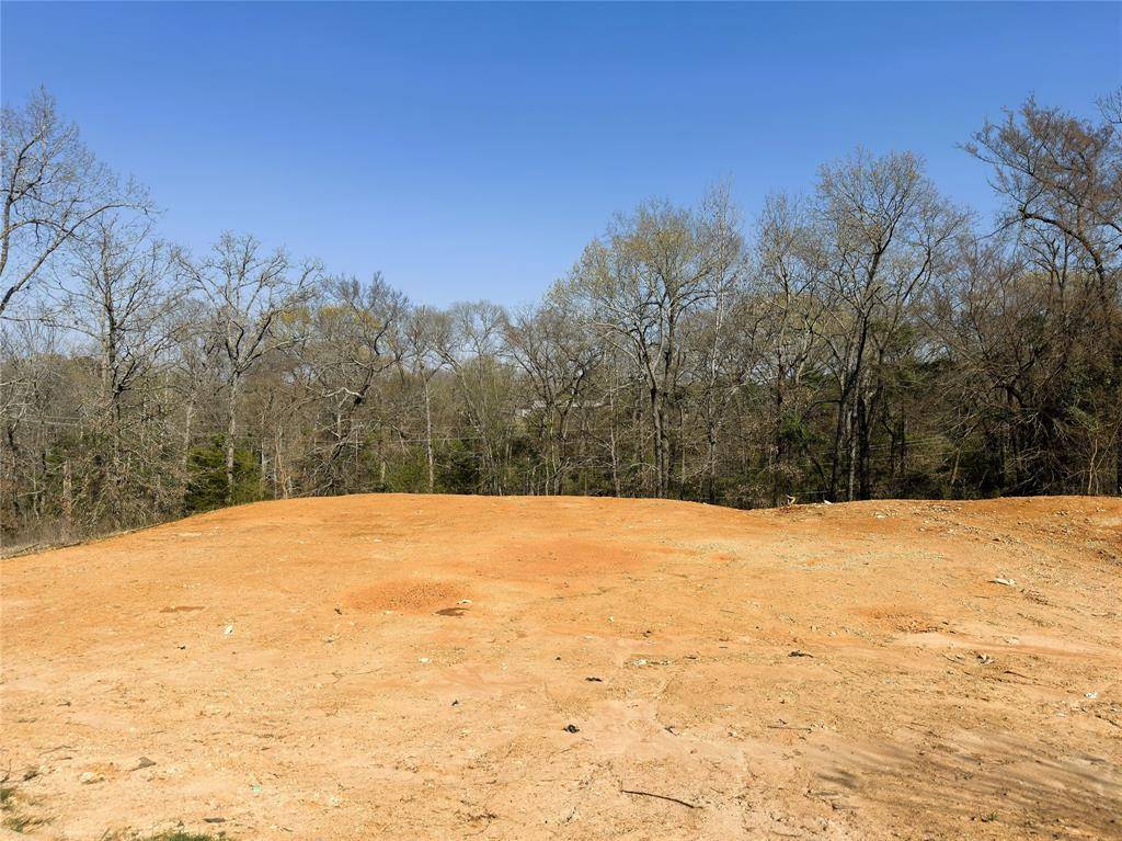 110 Elmwood Ct, Palestine, TX 75801