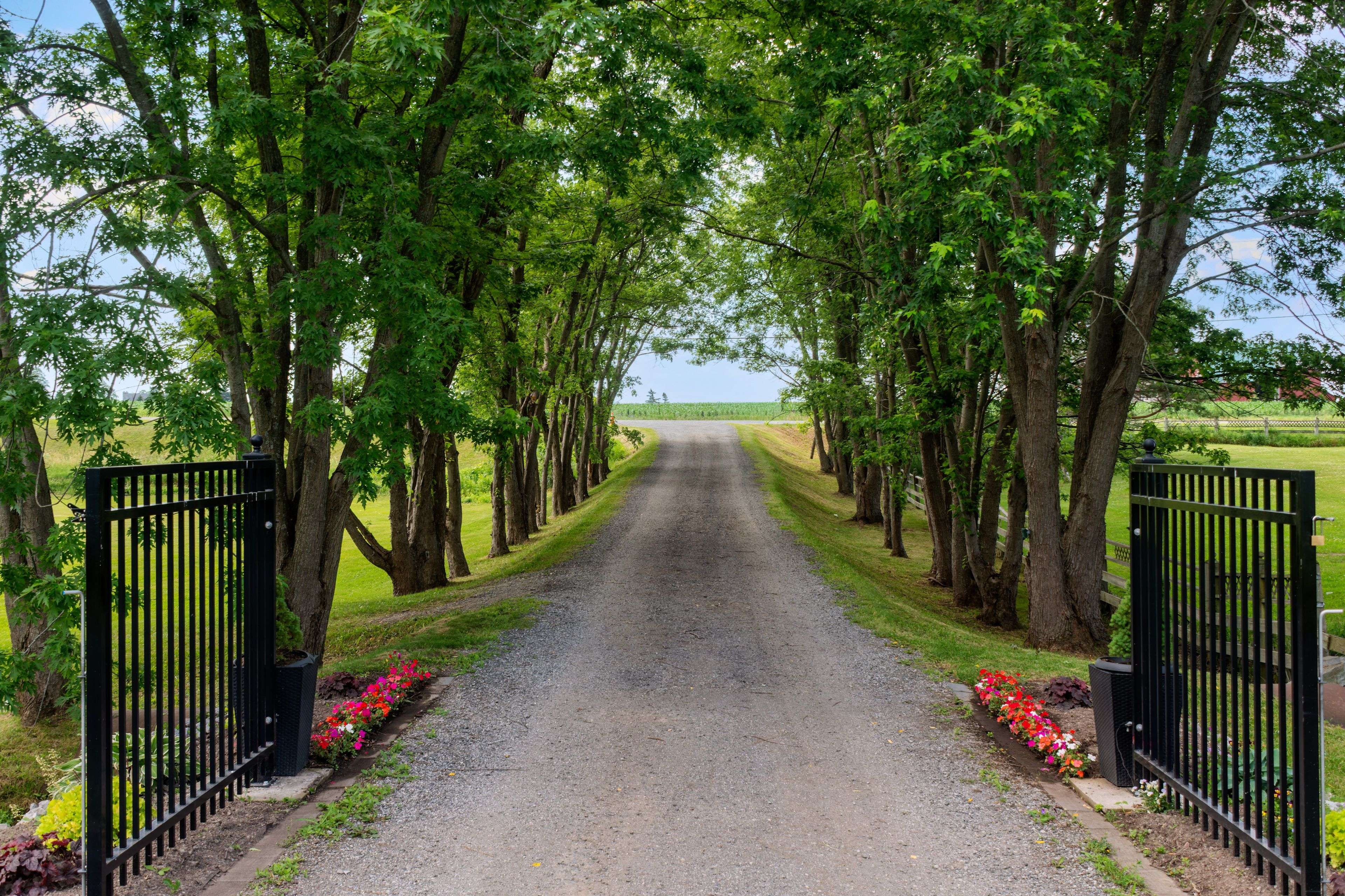 7324 Highway 9 RD, New Tecumseth, ON L0G 1T0