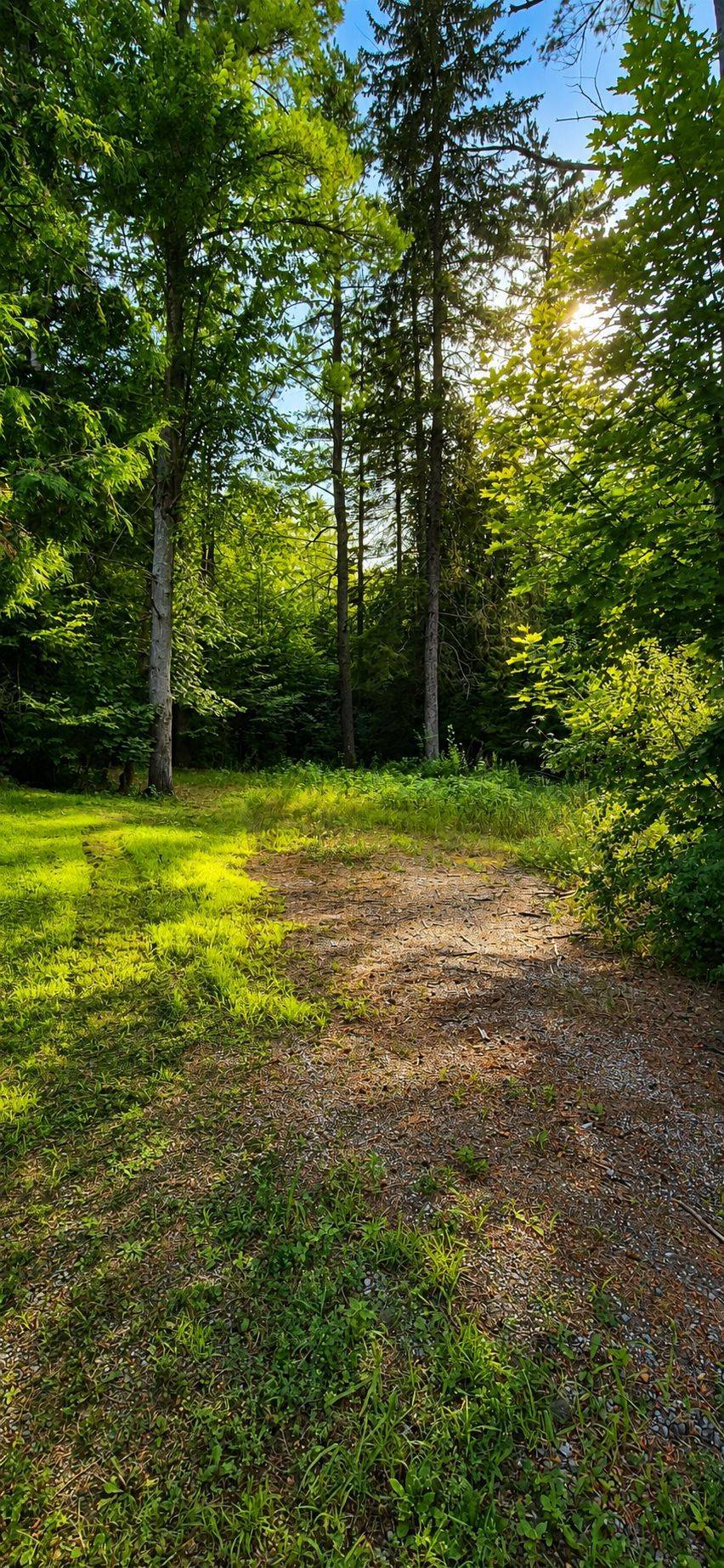 5045 Opeongo RD, Constance Bay - Dunrobin - Kilmaurs - Woodlawn, ON K0A 3M0