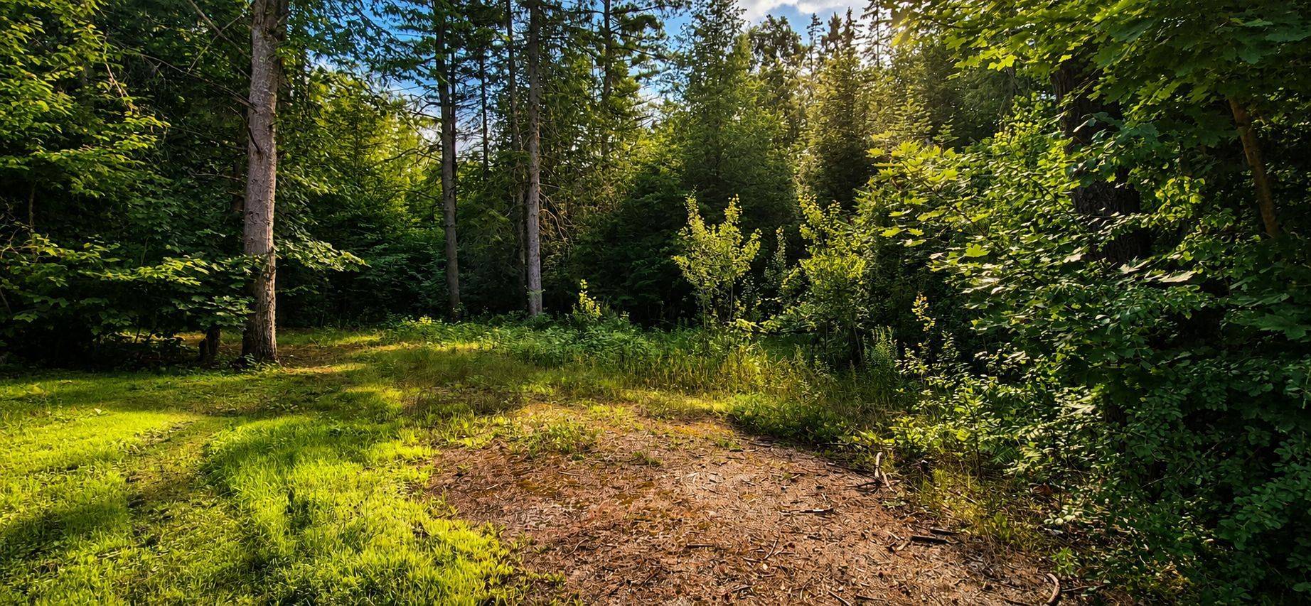 5045 Opeongo RD, Constance Bay - Dunrobin - Kilmaurs - Woodlawn, ON K0A 3M0