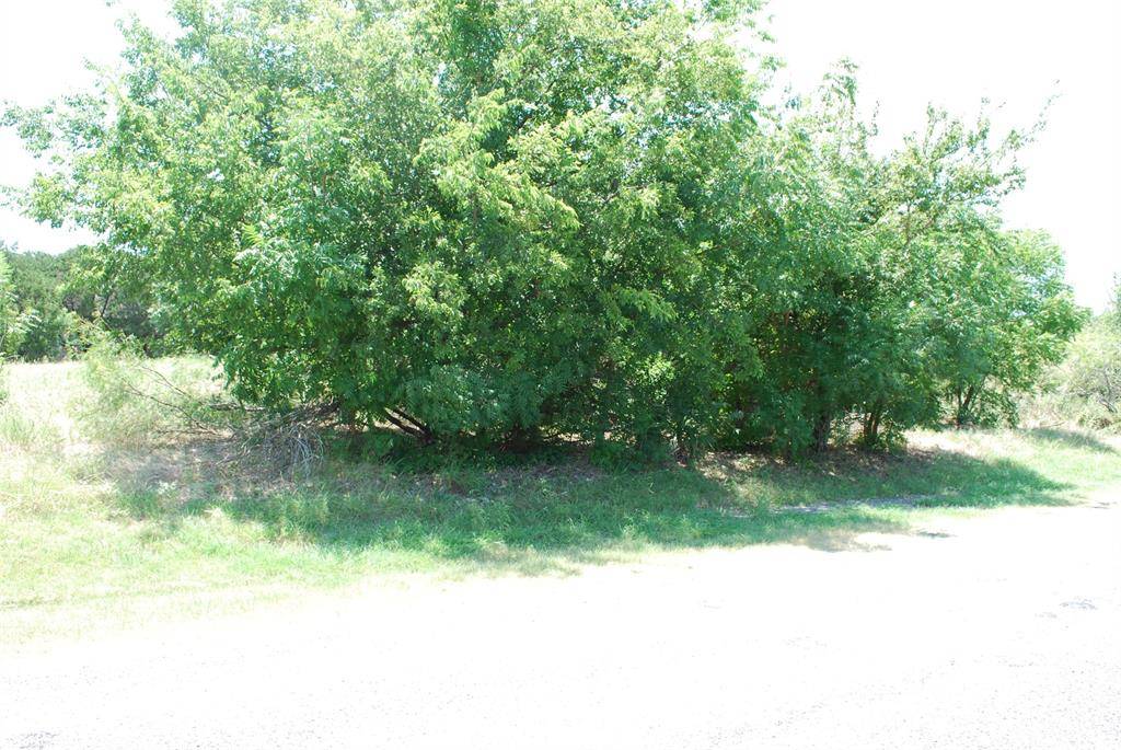 1413 Lakeside Trail, Whitney, TX 76692
