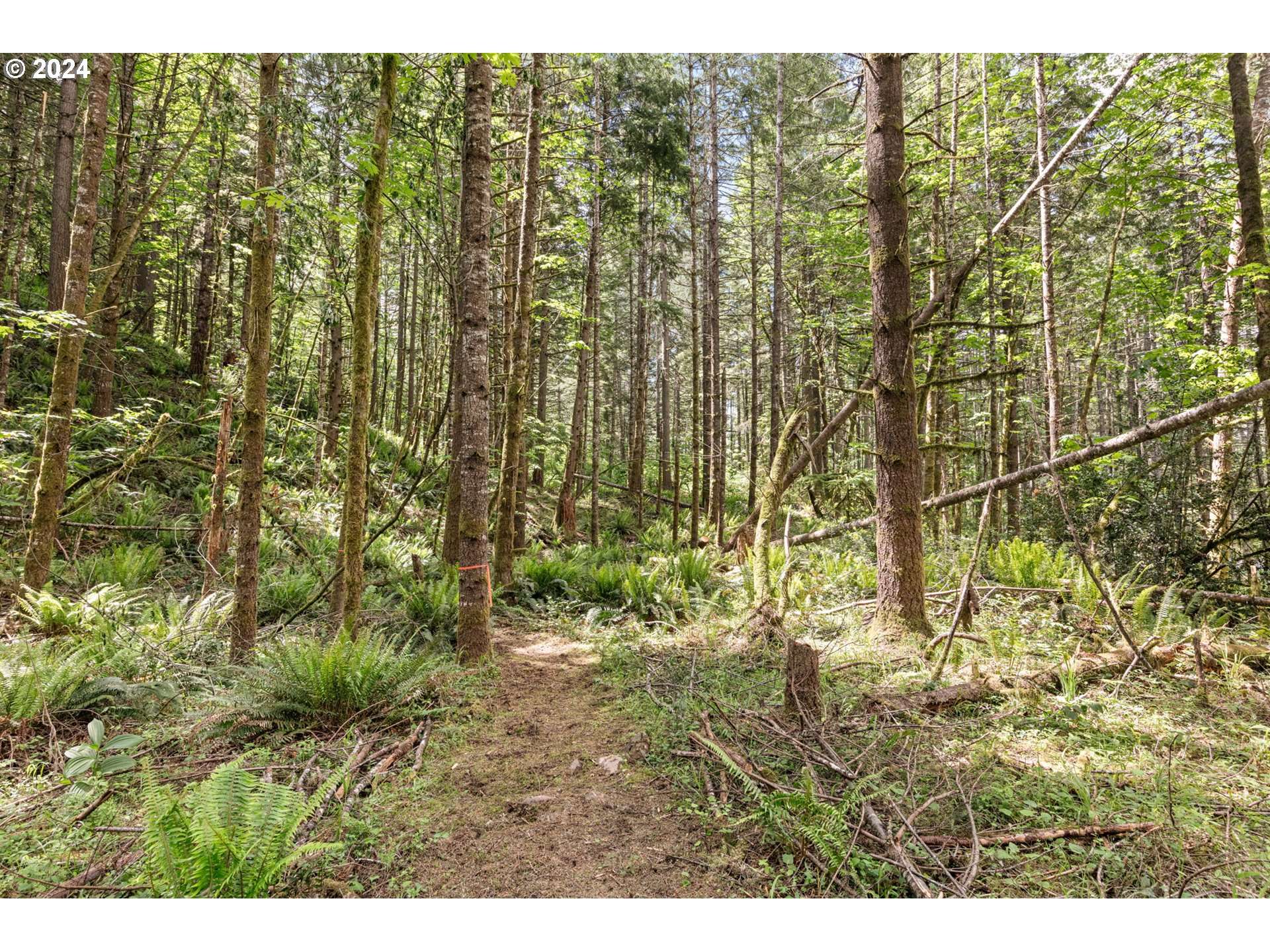 0 Tonga Lane, Springfield, OR 97478