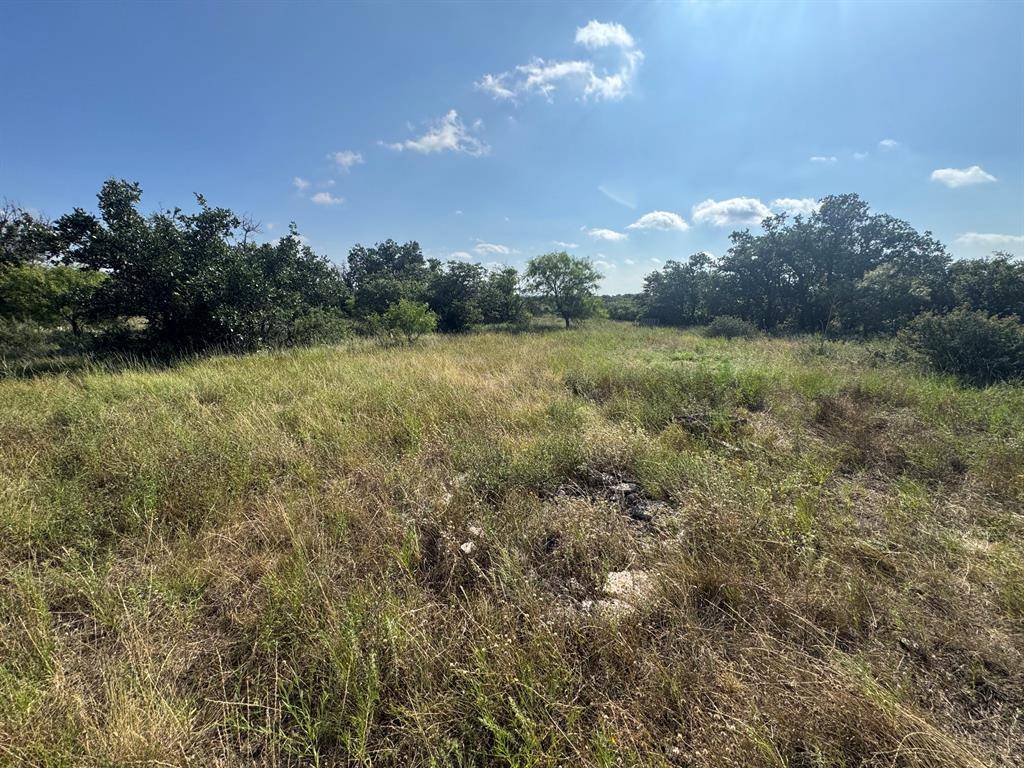 7770 Buck Ridge Road, Brady, TX 76825