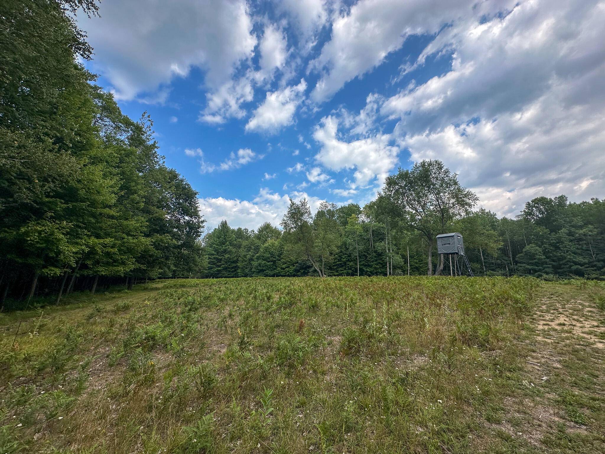 10013 E Beal City RD, Denver Twp, MI 48858