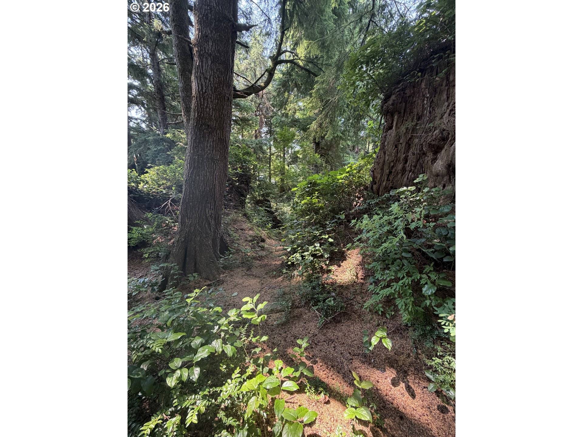 Hemlock LN, Arch Cape, OR 97102