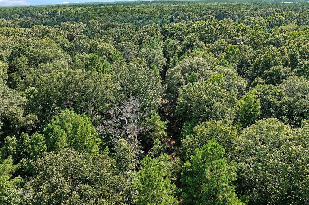 356 Cottage Grove Road, Benton, LA 71006