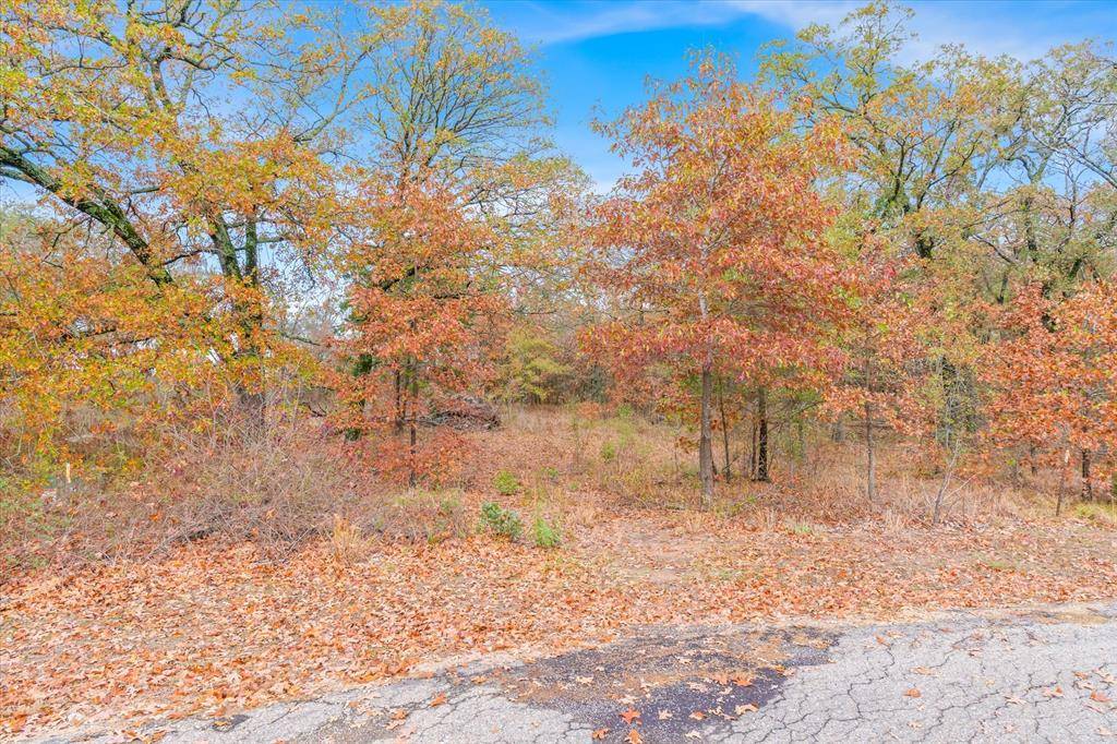 TBD Private Road 6374 Road, Alba, TX 75410