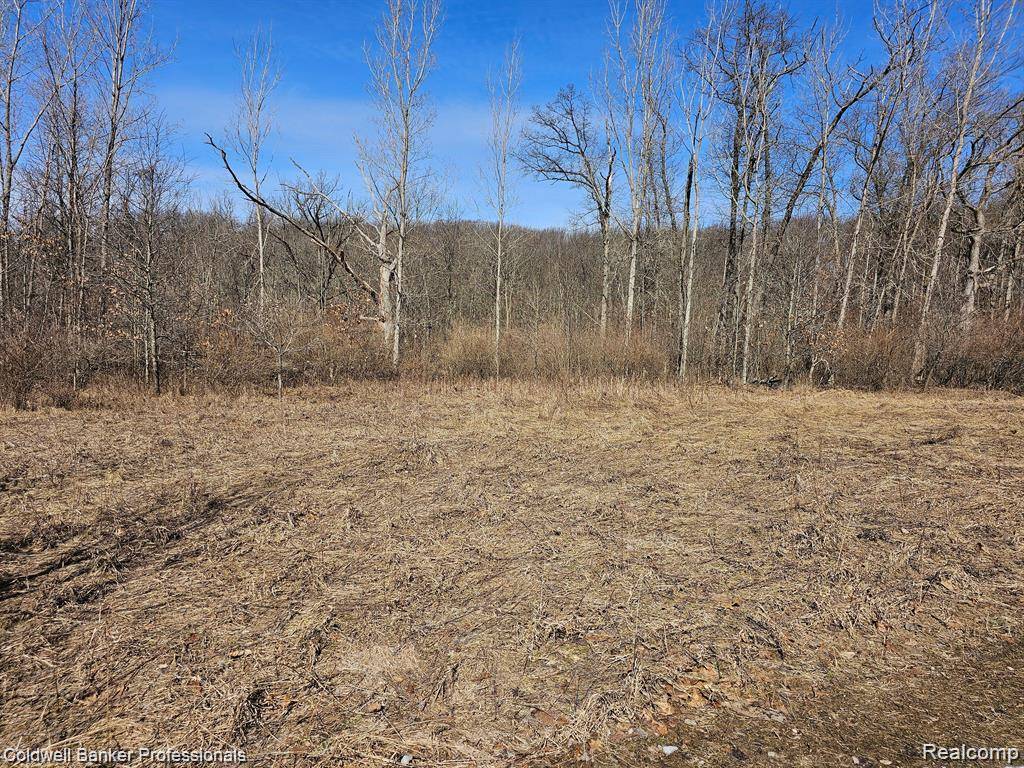 00 W Jamestown DR, Metamora Township, MI 48455