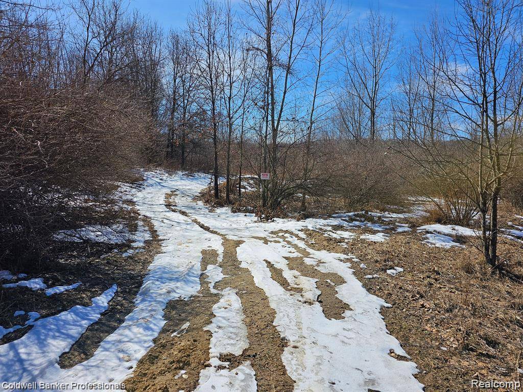 00 W Jamestown DR, Metamora Township, MI 48455