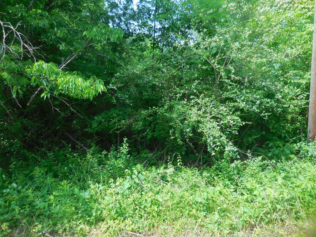 .38 Acre Garrett Avenue, East Tawakoni, TX 75472