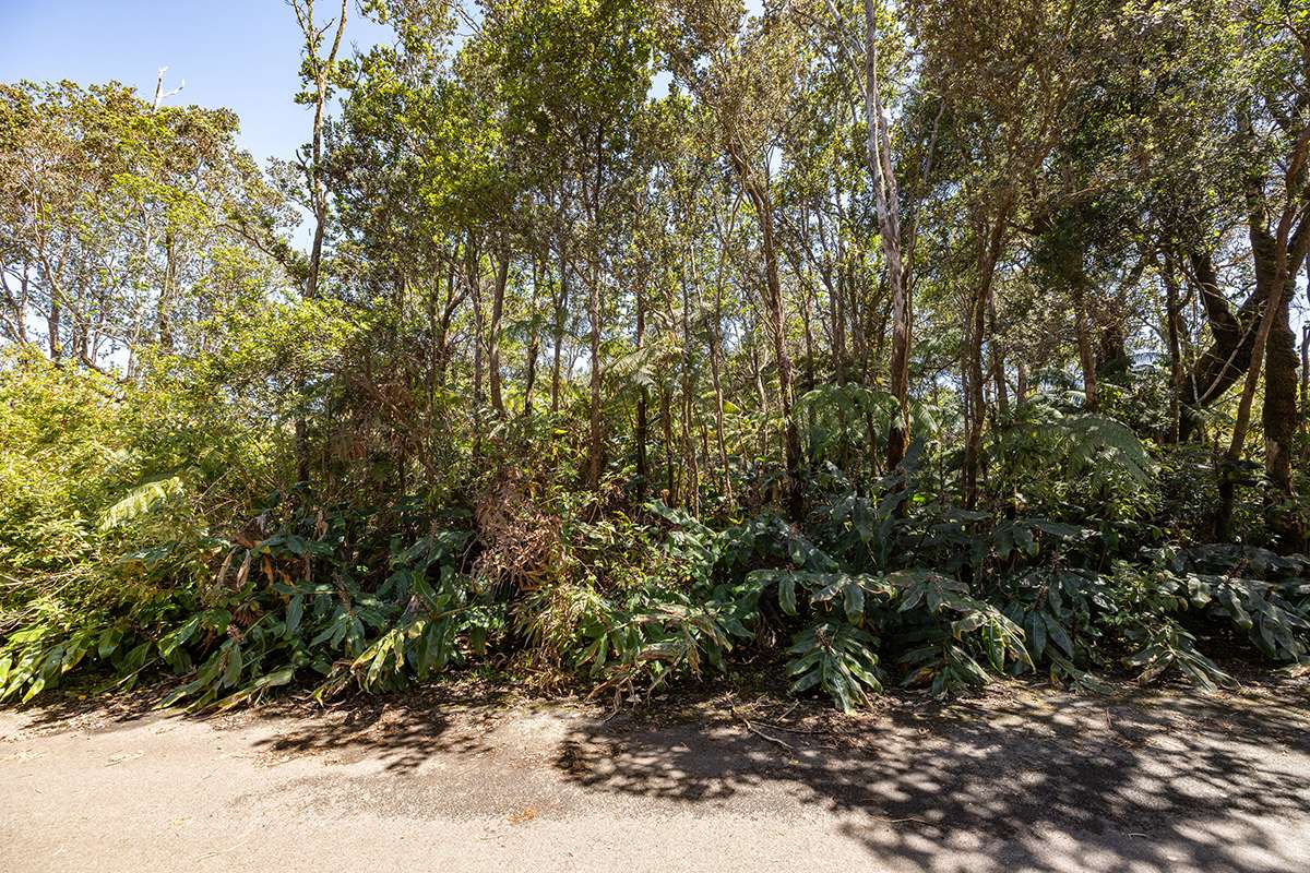 11TH ST, Volcano, HI 96785