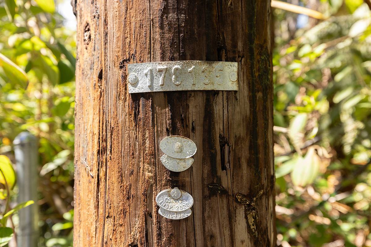 11TH ST, Volcano, HI 96785