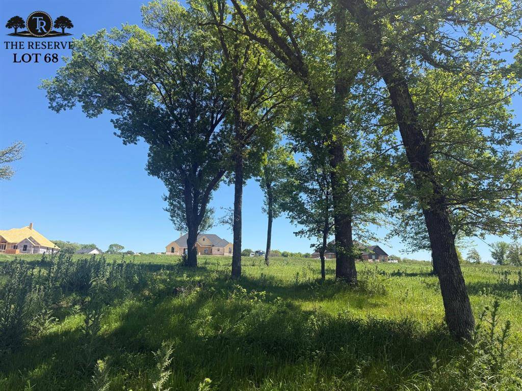 Lot 68 Camden Lane, Springtown, TX 76082