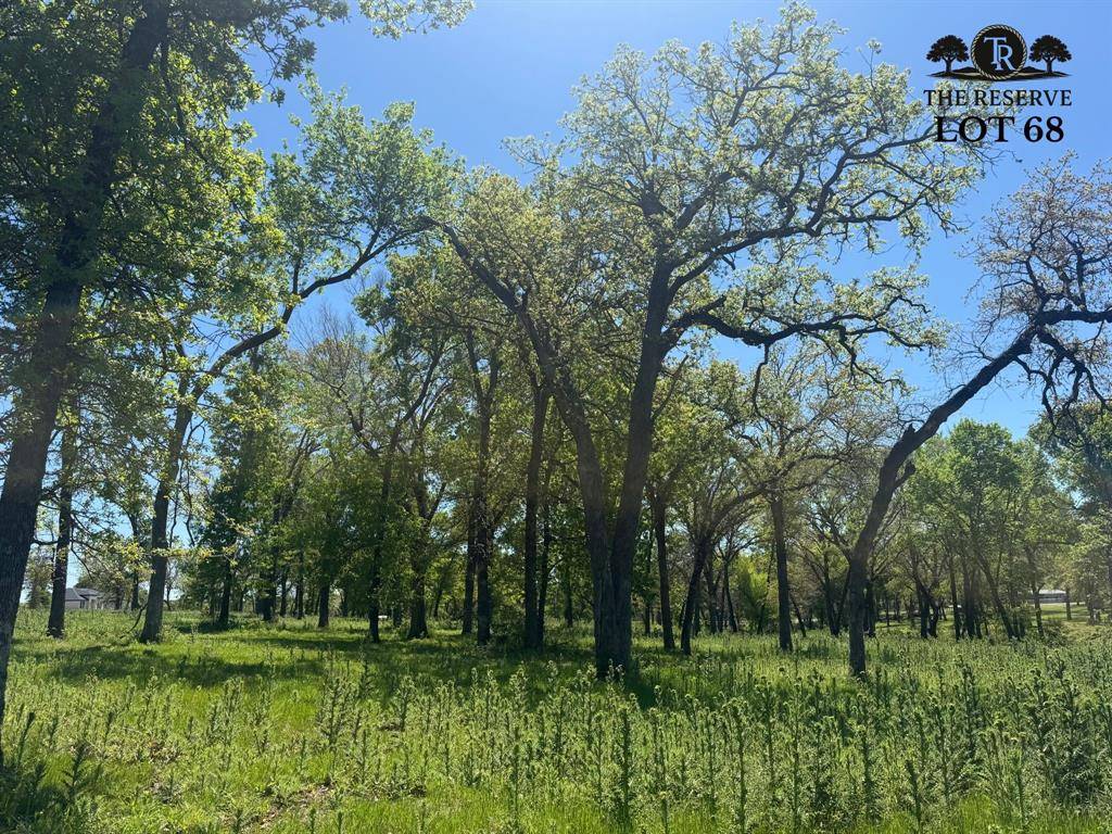 Lot 68 Camden Lane, Springtown, TX 76082