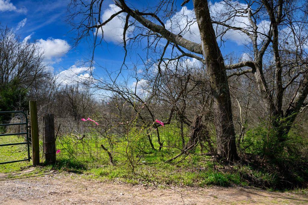 800 County Road 2390, Pickton, TX 75471