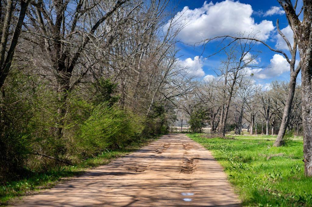 800 County Road 2390, Pickton, TX 75471