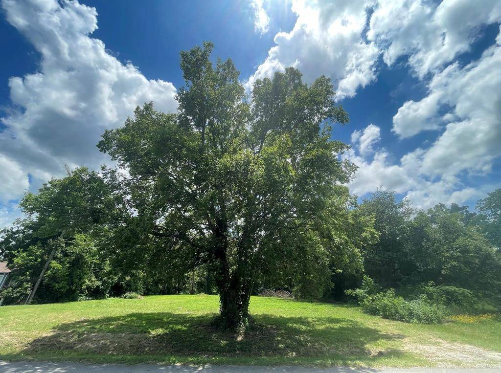 1127 W End Street, Terrell, TX 75160