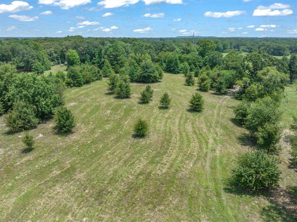 000 County Road 3520, Brownsboro, TX 75756