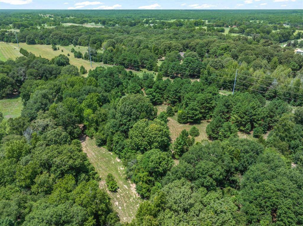 000 County Road 3520, Brownsboro, TX 75756