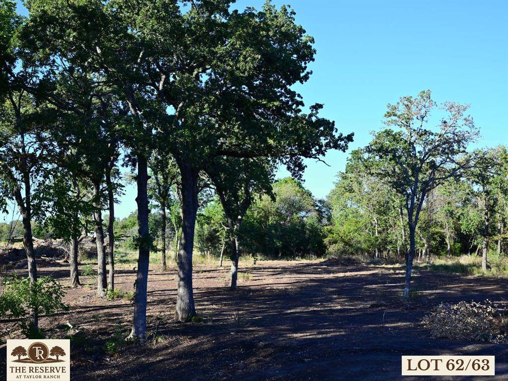 Lot 16 Colt Road, Springtown, TX 76082