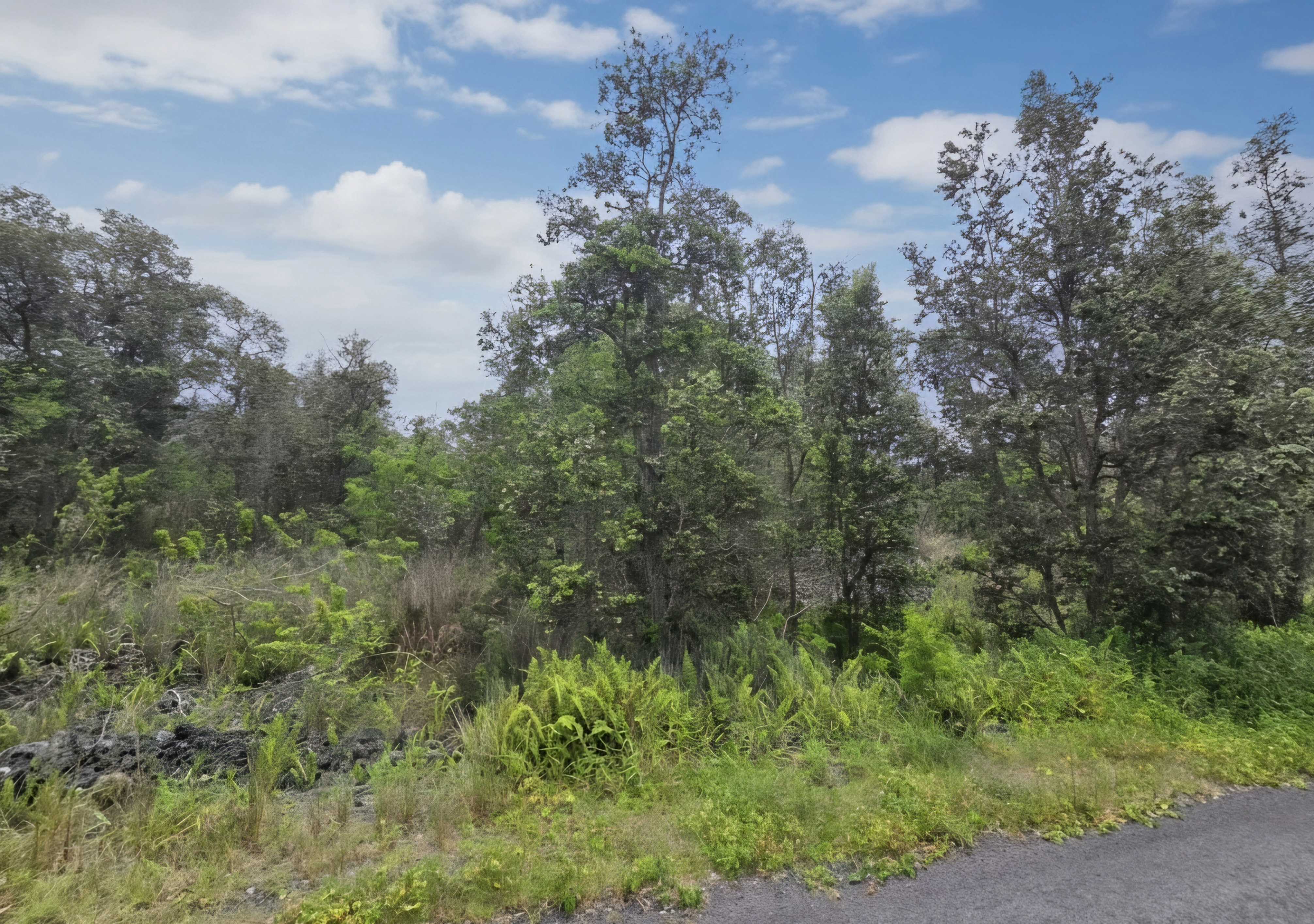 ORCHID PKWY, Ocean View, HI 96737