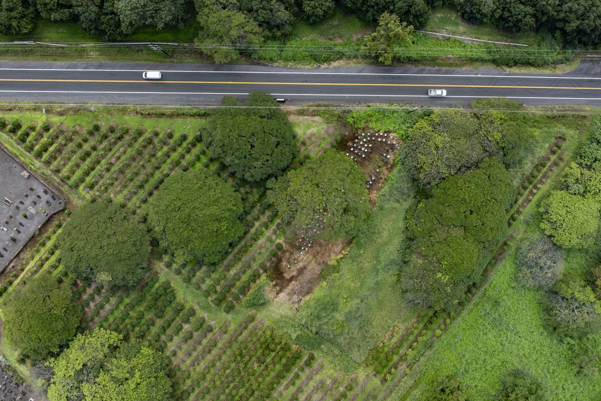 96-2951 PAAUAU ST, Pahala, HI 96777