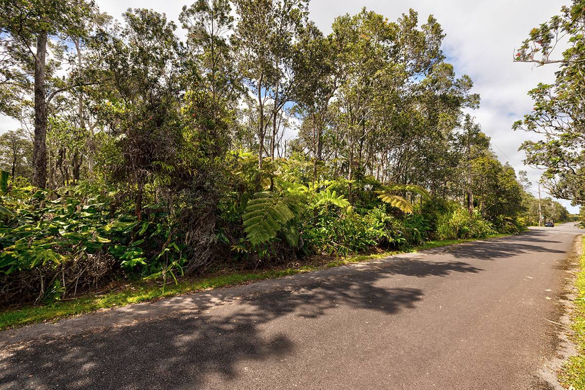 11-3844 9TH ST, Volcano, HI 96785