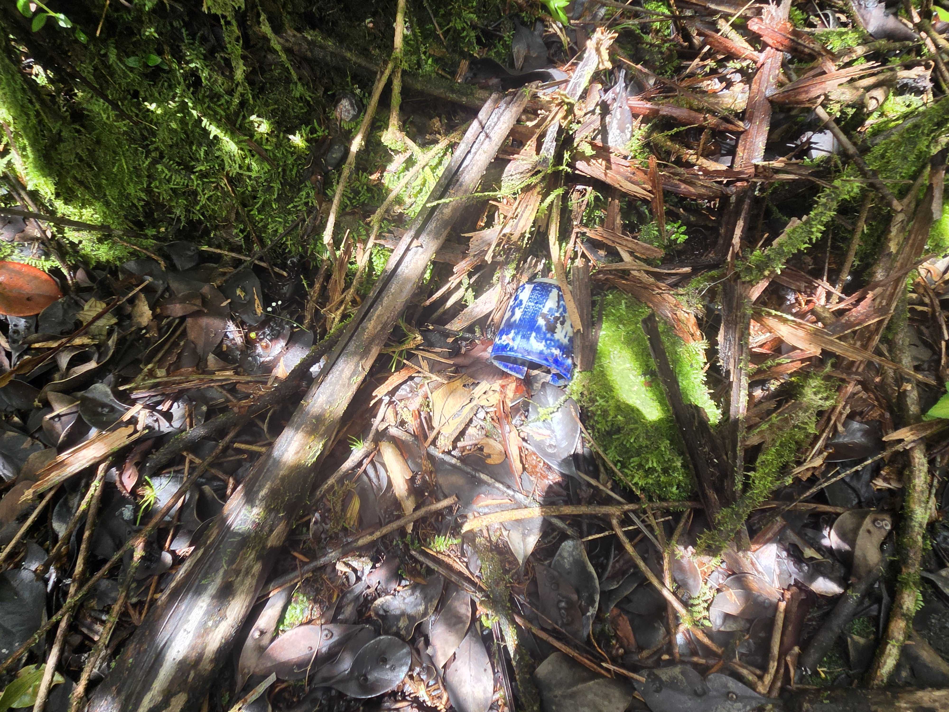 LAAU WY, Pahoa, HI 96778