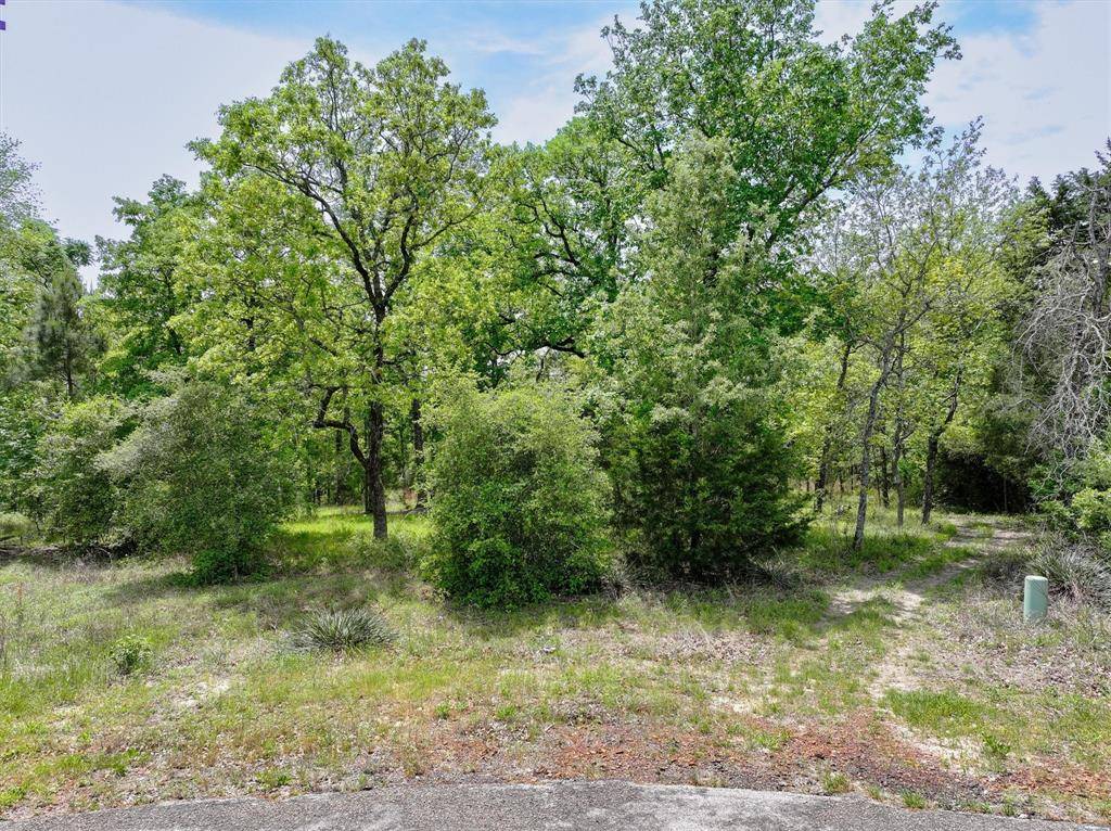 8950 Timber Ridge, Larue, TX 75770