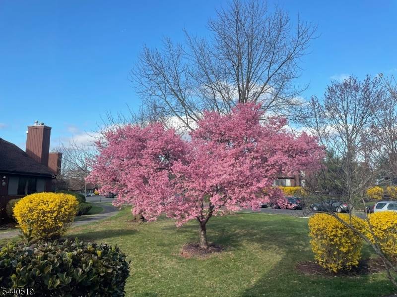 25 Bloomingdale Dr #2C, Hillsborough Twp., NJ 08844