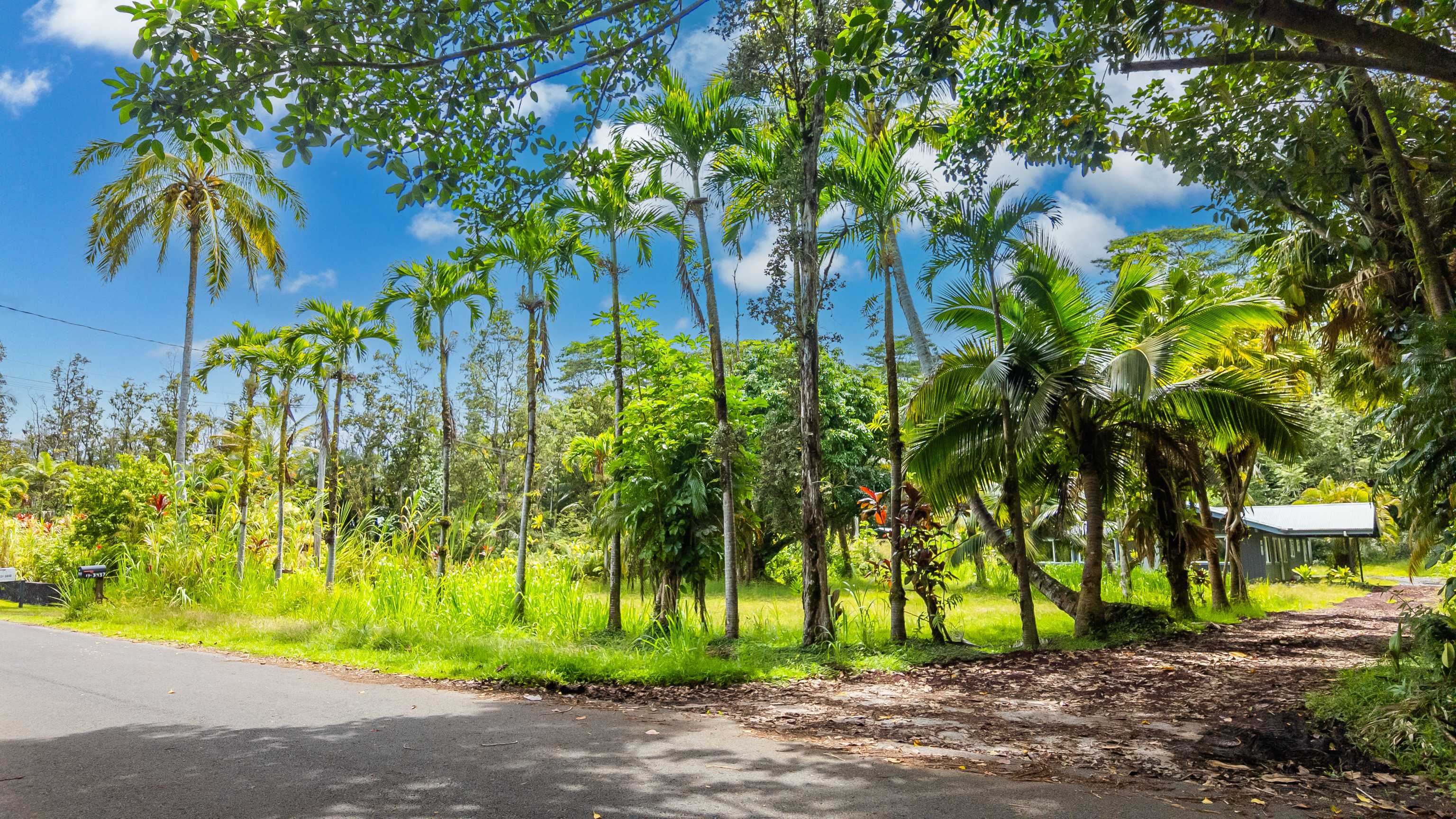 13-3436 ALAPAI ST, Pahoa, HI 96778
