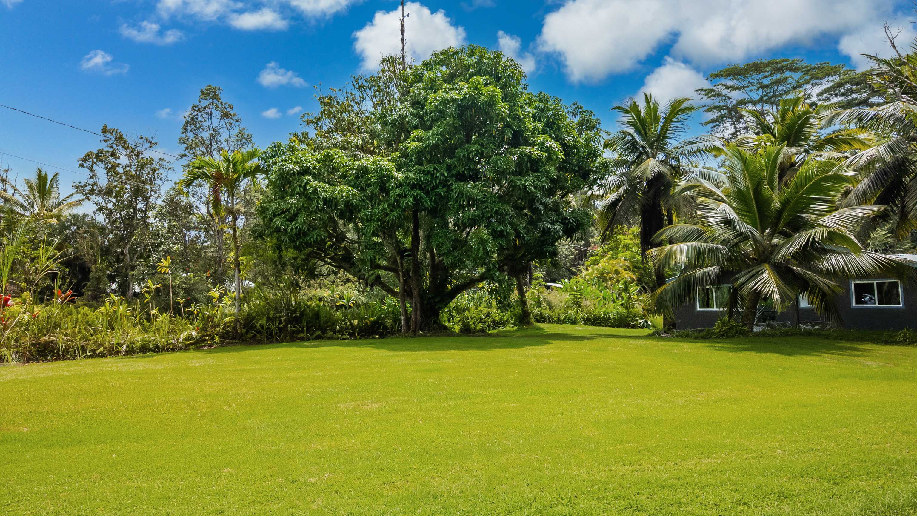 13-3436 ALAPAI ST, Pahoa, HI 96778