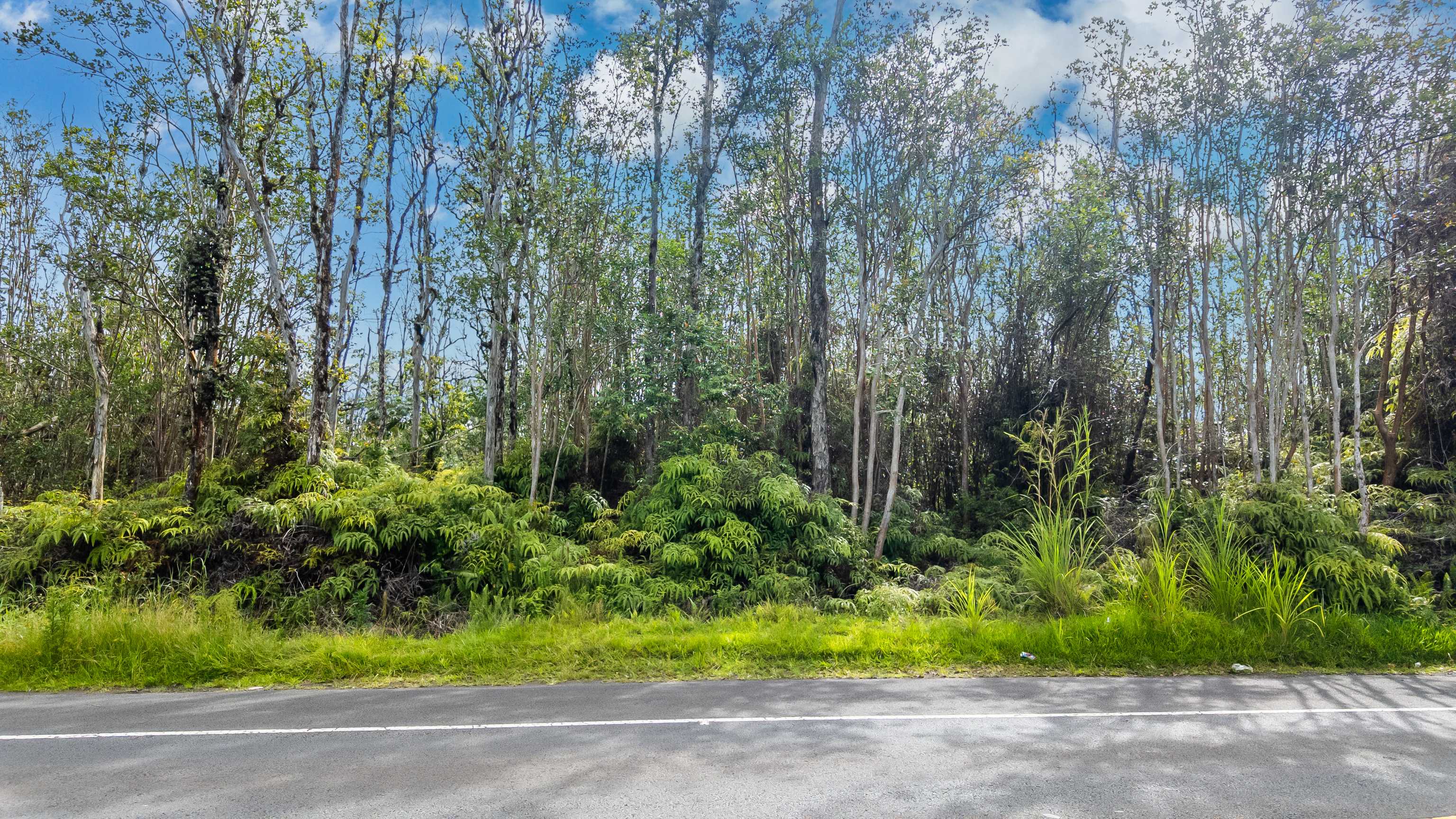 8 ROAD 8 (MOHO), Keaau, HI 96749