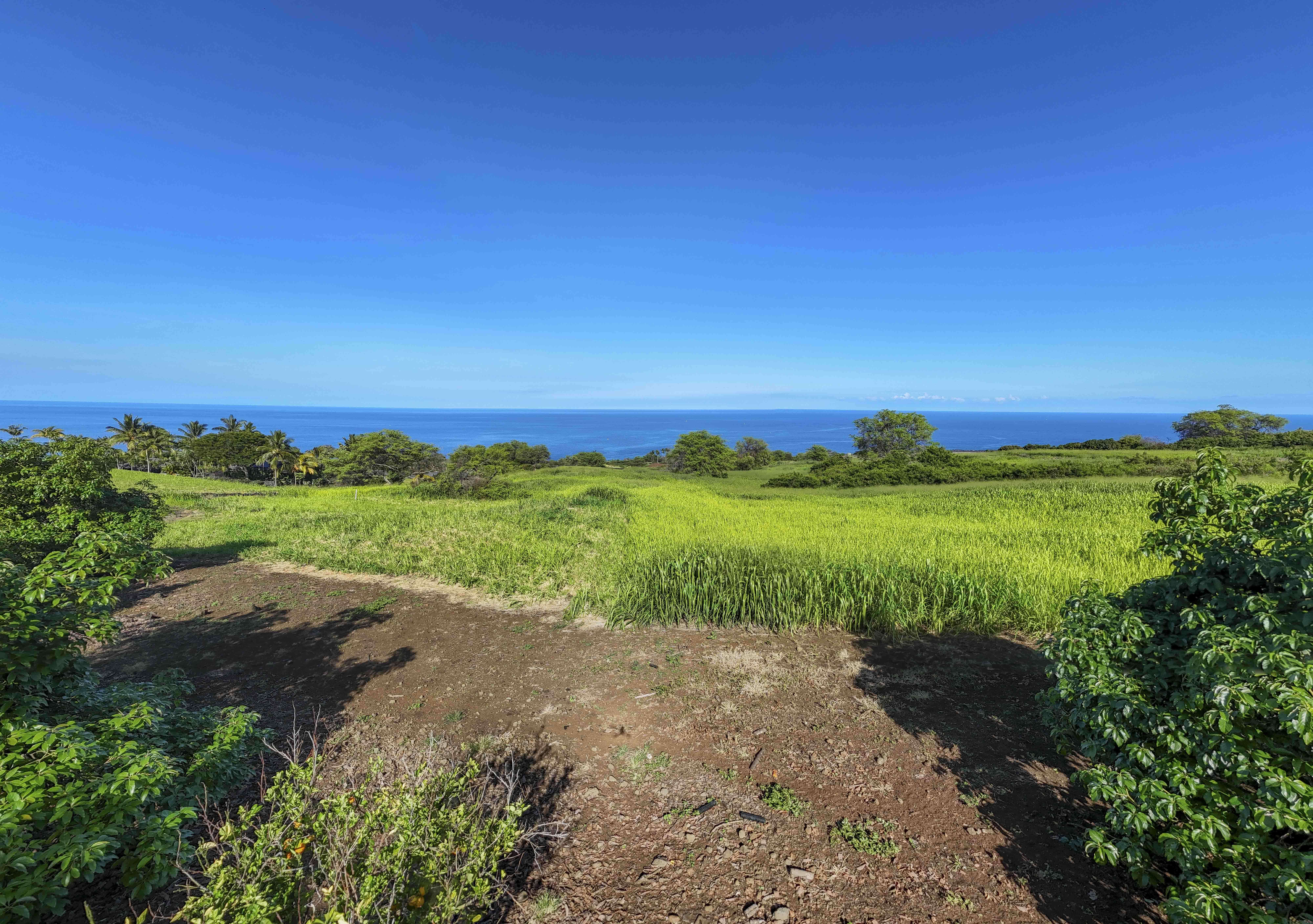 81-6612 KA WAENA WAY, Kealakekua, HI 96750
