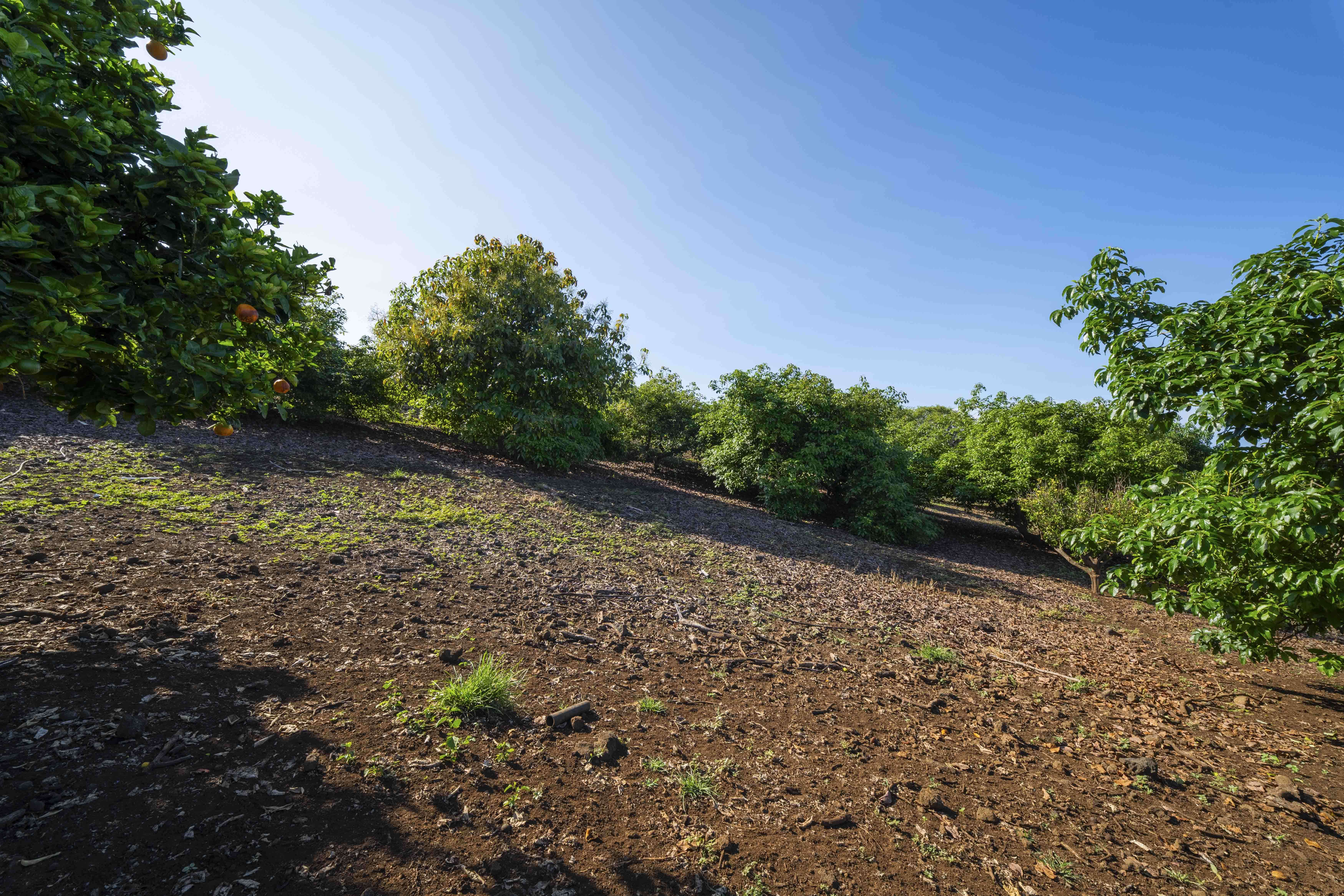 81-6612 KA WAENA WAY, Kealakekua, HI 96750