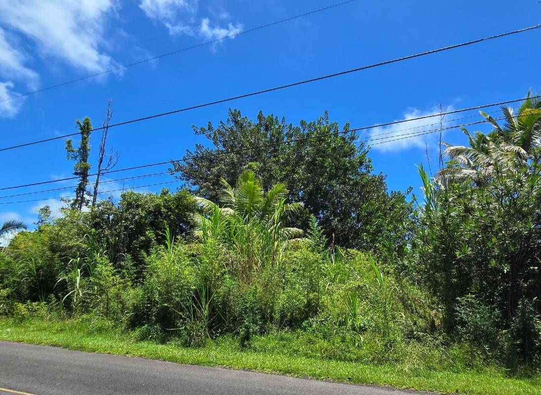 SILVERSWORD DR, Pahoa, HI 96778