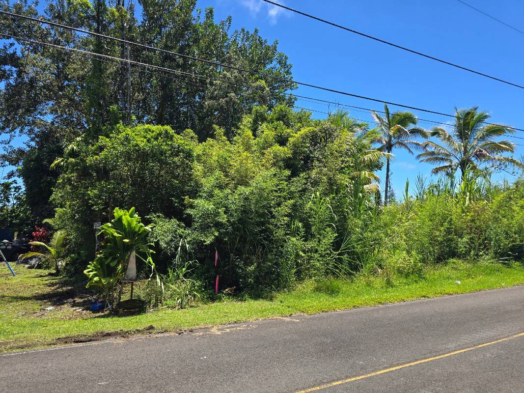 SILVERSWORD DR, Pahoa, HI 96778