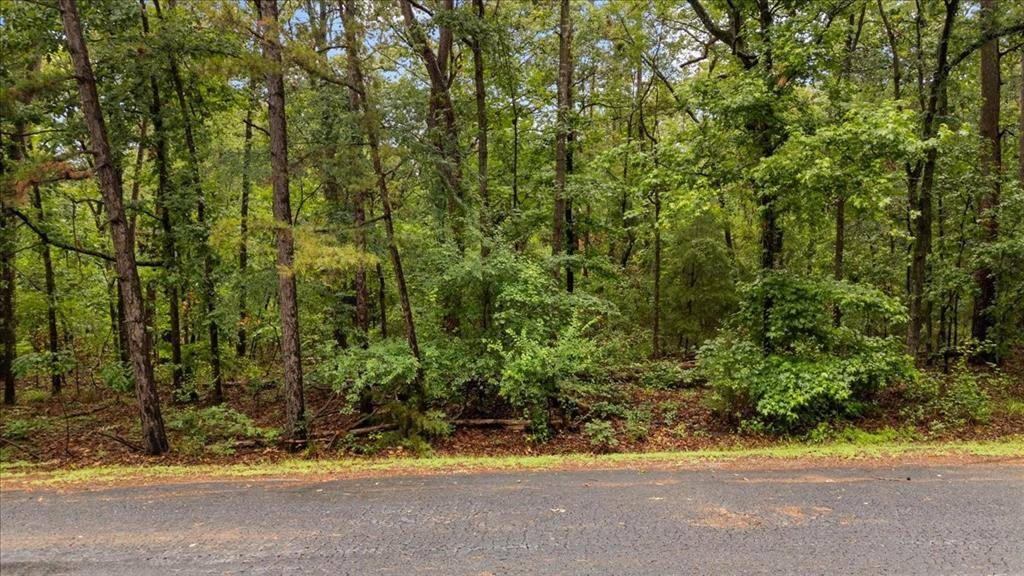 Lot 236 Canadian Drive, Scroggins, TX 75480
