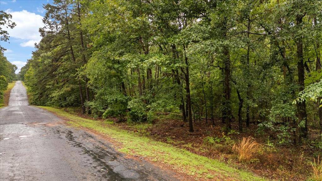 Lot 236 Canadian Drive, Scroggins, TX 75480