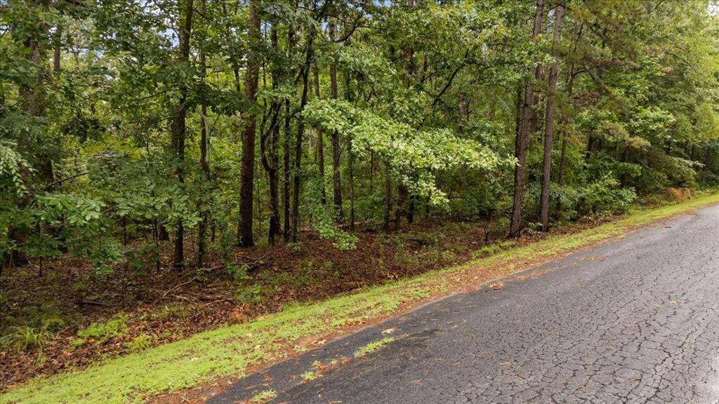 Lot 236 Canadian Drive, Scroggins, TX 75480