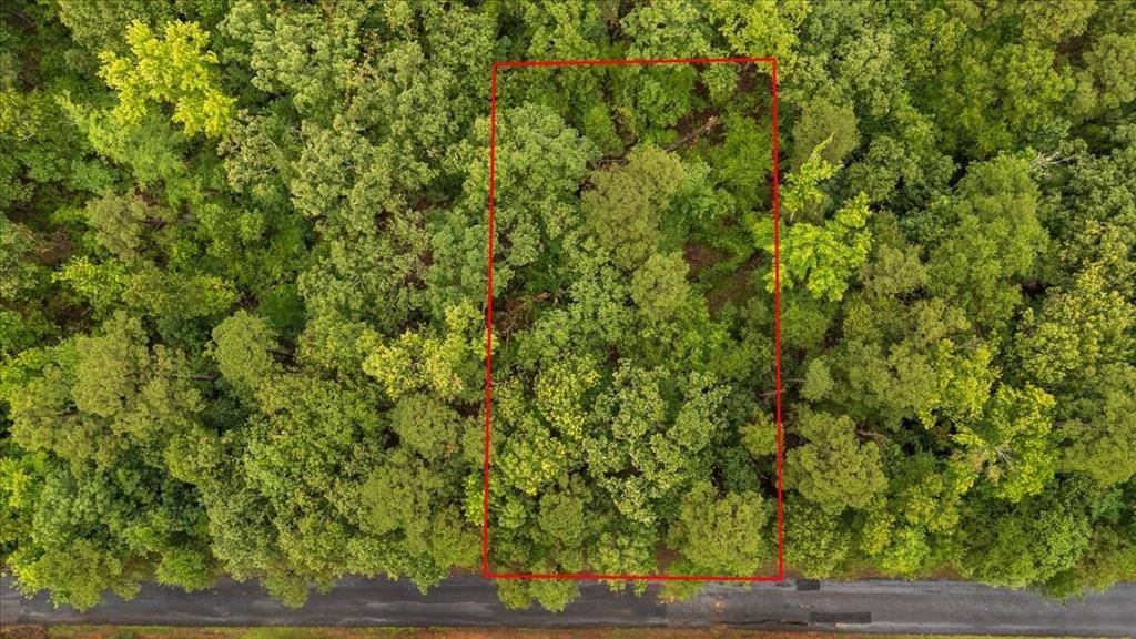 Lot 236 Canadian Drive, Scroggins, TX 75480