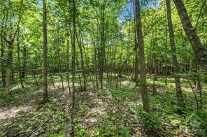 6 Rock Forest RD, Constance Bay - Dunrobin - Kilmaurs - Woodlawn, ON K0A 1T0