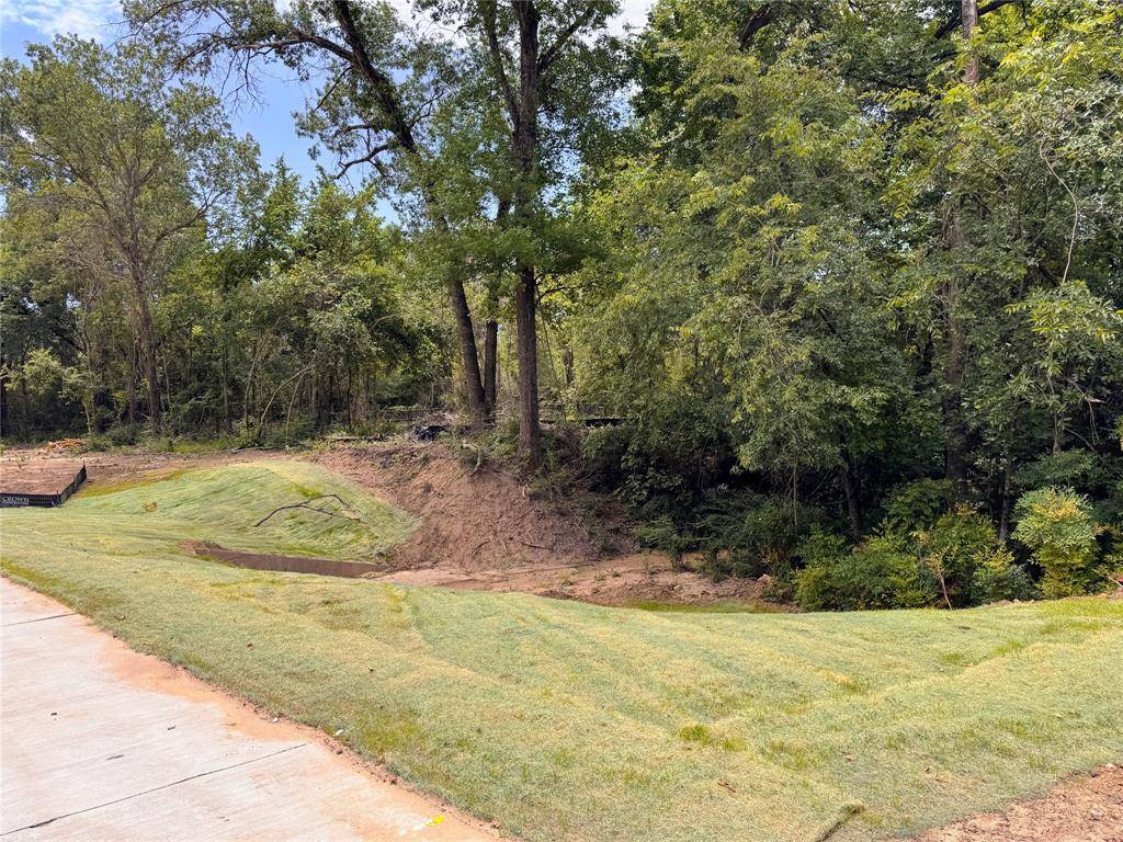 Lot 17 TBD Pardise Cove Road, Lakeside, TX 76108