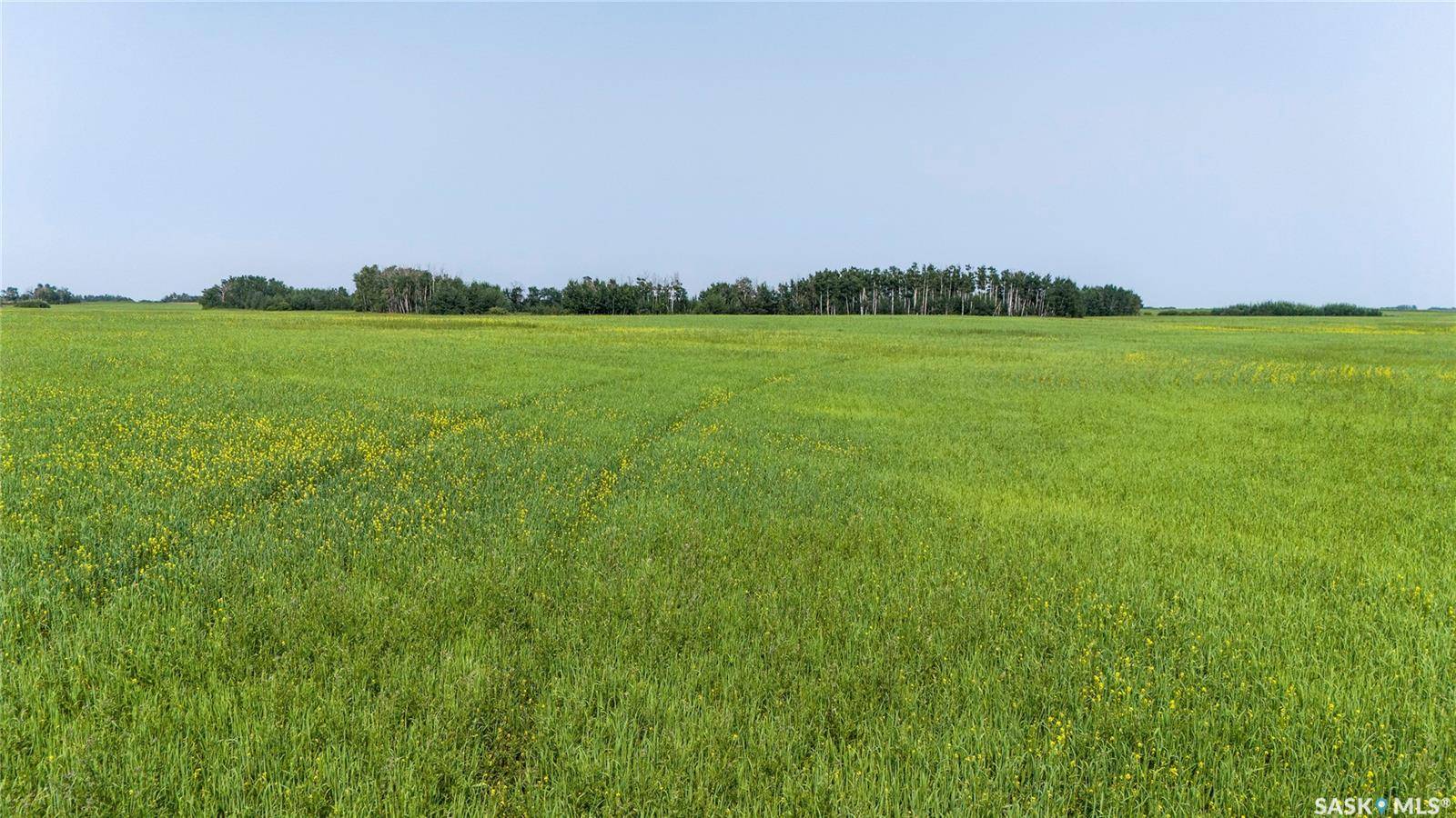 Rural Address, Moose Creek Rm No. 33, SK S0C 0A0