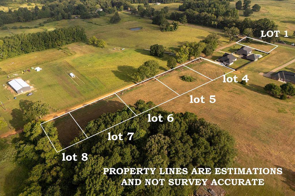 181 County Road 3421 (Lot 4), Bullard, TX 75757